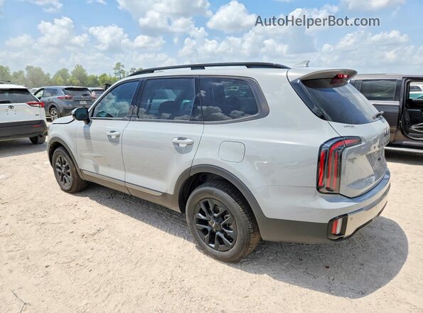 5XYP5DGC7PG369451 2023 KIA TELLURIDE Gray Trasero derecho