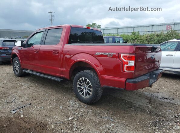 1FTEW1EP2KFB25307 2019 FORD F150 Red Հետևի աջ