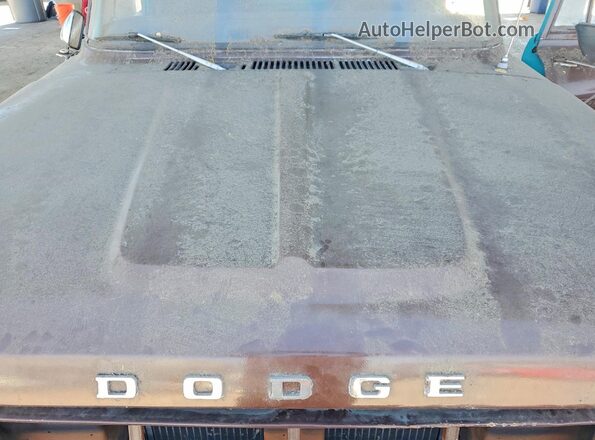 1187120173 1969 DODGE TRUCK&CMPR Tan Սալոնի հետևի տեսք
