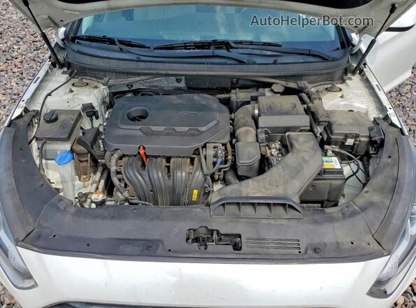 5NPE24AF0JH603951 2018 HYUNDAI SONATA Белый Вид подкапотного пространства
