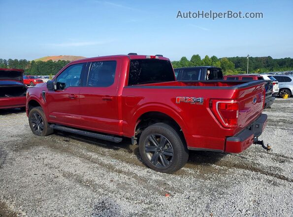 1FTFW1ED1NFA23107 2022 FORD F150 Burgundy Trasero derecho