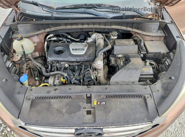 KM8J33A20GU076961 2016 HYUNDAI TUCSON Brown Vista de la etiqueta del VIN