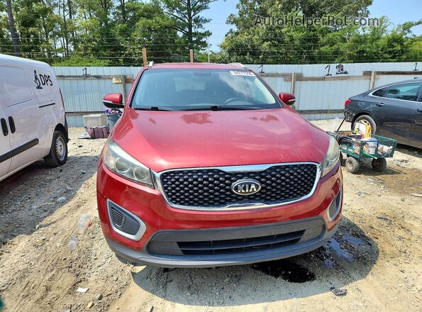 5XYPGDA3XHG263497 2017 KIA SORENTO Red Widok z tyłu