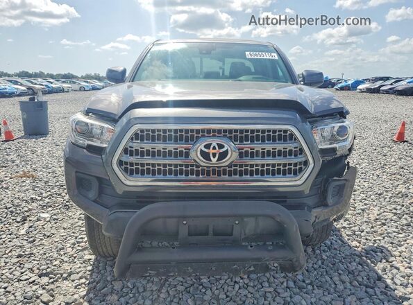 5TFCZ5AN2MX256597 2021 TOYOTA TACOMA Gray Вид ззаду