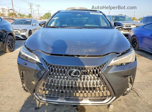 2T2KGCEZ7SC087302 2025 LEXUS NX Black Հետևի տեսք