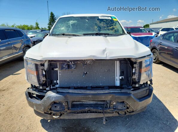 1FTFX1E82PKD03080 2023 FORD F150 White Հետևի տեսք
