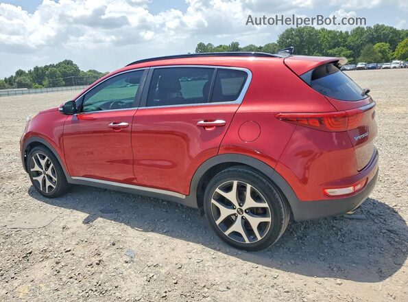 KNDPR3A64K7509253 2019 KIA SPORTAGE Red Հետևի աջ
