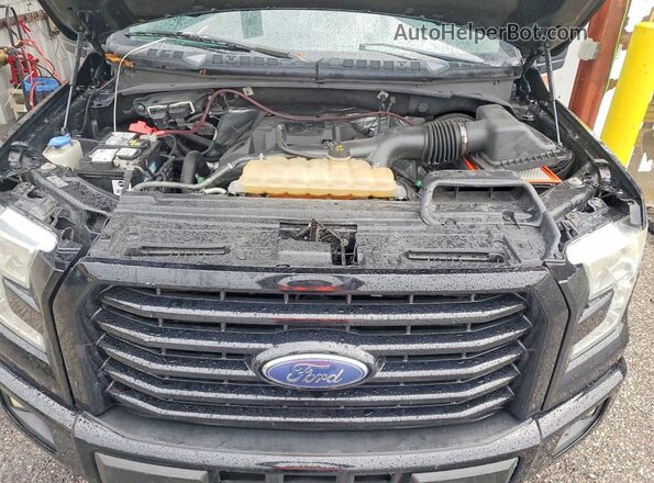 1FTEW1CP1HFA41894 2017 FORD F150 Black Widok komory silnika
