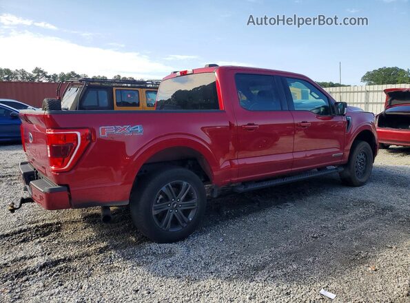 1FTFW1ED1NFA23107 2022 FORD F150 Burgundy Delantero derecho