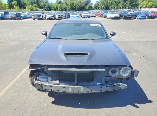 2C3CDZJG7KH737314 2019 DODGE CHALLENGER Серый Вид сзади