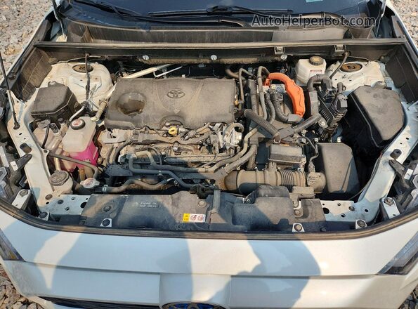 2T3E6RFV8RW059768 2024 TOYOTA RAV4 White VIN կոդի պիտակի տեսք