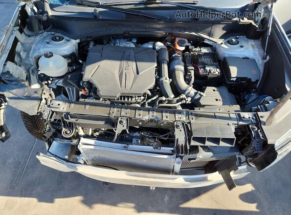 5NMP54GL7RH033355 2024 HYUNDAI SANTA Silver Вид наклейки з VIN-кодом