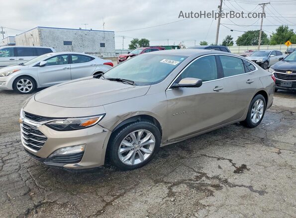 1G1ZD5ST6RF170981 2024 CHEVROLET MALIBU Gray Trasero izquierdo