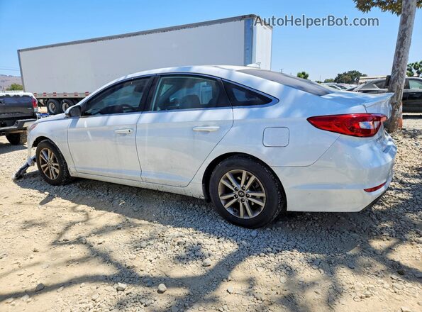 5NPE24AF6GH309995 2016 HYUNDAI SONATA White Tył prawy