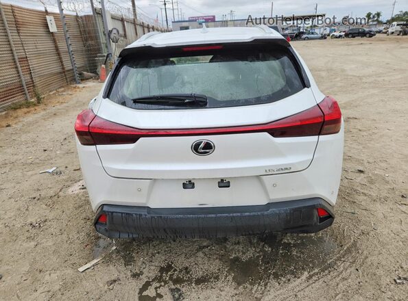 JTHX3JBH0N2052690 2022 LEXUS ALL OTHER White Սալոնի դիմացի տեսք
