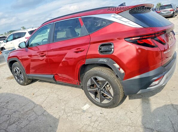 5NMJBCDE3SH516703 2025 HYUNDAI TUCSON Red Հետևի աջ