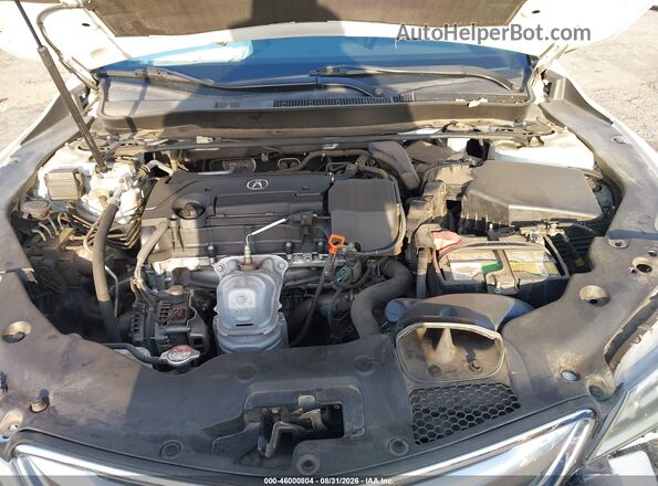 19UUB1F31HA005265 2017 ACURA TLX White Вид ззаду
