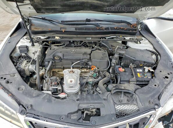 19UUB1F34GA009129 2016 ACURA TLX White Widok wnętrza z tyłu