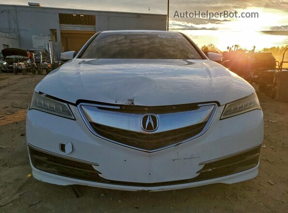 19UUB1F36GA006104 2016 ACURA TLX Белый Вид спереди