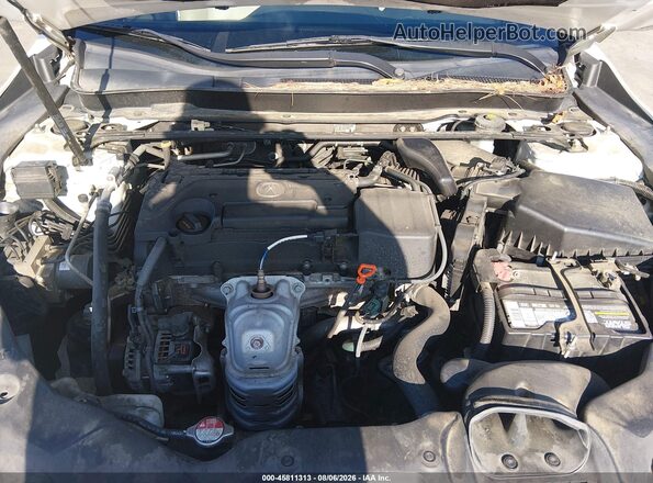 19UUB1F36GA006118 2016 ACURA TLX White უკანა ხედი