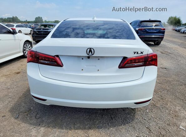 19UUB1F52GA800440 2016 ACURA TLX White Вид ззаду