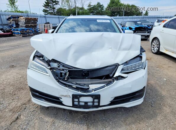 19UUB1F52GA800440 2016 ACURA TLX White Вид спереду