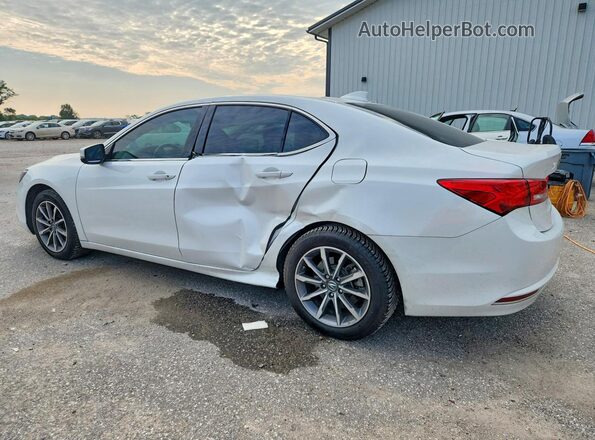 19UUB1F54LA007828 2020 ACURA TLX Белый Задняя левая четверть