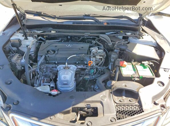 19UUB1F58HA008472 2017 ACURA TLX White Սալոնի հետևի տեսք