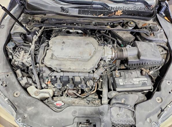 19UUB2F55GA007168 2016 ACURA TLX Серый Вид задней части салона