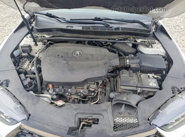 19UUB3F65KA002401 2019 ACURA TLX Белый Вид задней части салона