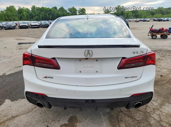 19UUB3F6XLA003013 2020 ACURA TLX Белый Вид сзади