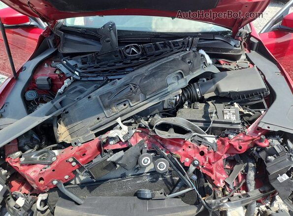 19UUB3F79HA000328 2017 ACURA TLX Red Սալոնի հետևի տեսք