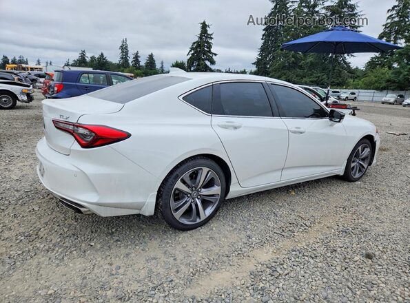 19UUB5F64MA011864 2021 ACURA TLX White Tył prawy