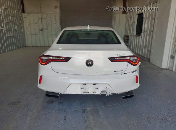 19UUB6F36MA003034 2021 ACURA TLX Белый Вид сзади