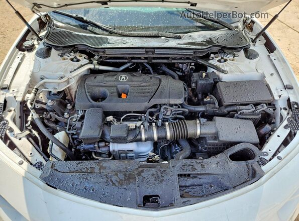 19UUB6F49MA011346 2021 ACURA TLX Белый Вид задней части салона
