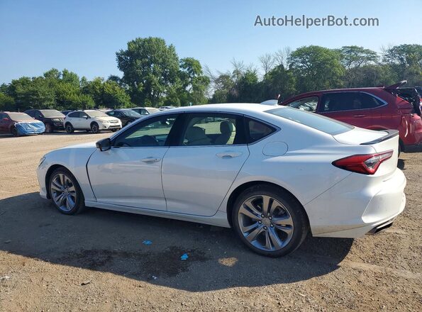 19UUB6F4XMA004602 2021 ACURA TLX White უკანა მარცხენა