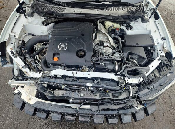 19UUB7F05SA001364 2025 ACURA TLX White Вид задньої частини салону