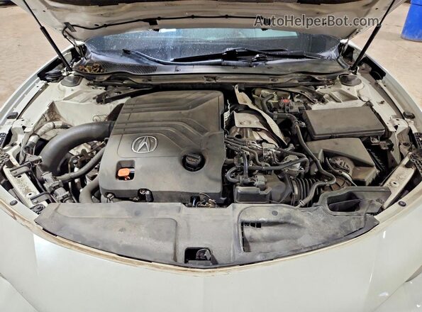 19UUB7F08MA001491 2021 ACURA TLX White Vista interior trasera