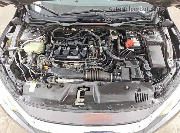 19XFC1F30GE021960 2016 HONDA CIVIC Gray Widok wnętrza z tyłu