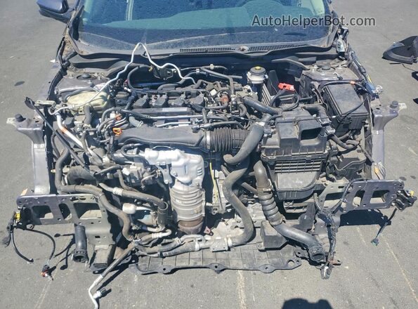 19XFC1F33LE207454 2020 HONDA CIVIC Серый Вид задней части салона