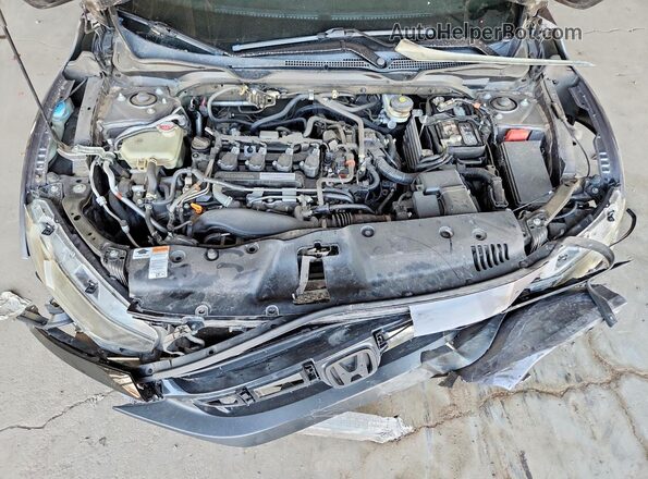 19XFC1F39LE005220 2020 HONDA CIVIC Gray Սալոնի հետևի տեսք
