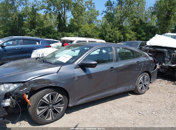 19XFC1F76HE016735 2017 HONDA CIVIC Gray სალონის 360-გრადუსიანი ხედი