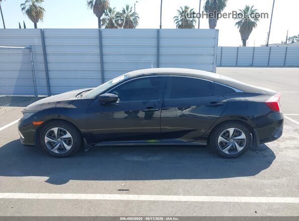 19XFC2F64LE200335 2020 HONDA CIVIC Black 
