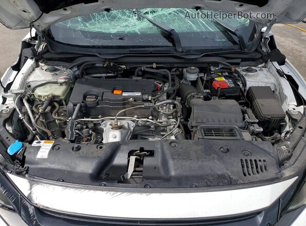 19XFC2F6XKE203366 2019 HONDA CIVIC White Սալոնի հետևի տեսք