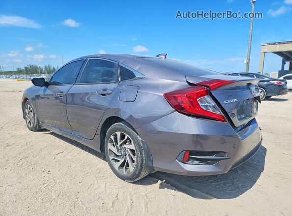 19XFC2F71HE033030 2017 HONDA CIVIC Gray Հետևի ձախ