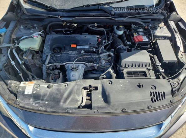 19XFC2F71HE033030 2017 HONDA CIVIC Gray Սալոնի հետևի տեսք