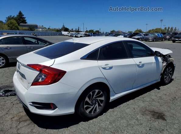 19XFC2F74HE231116 2017 HONDA CIVIC White Հետևի աջ