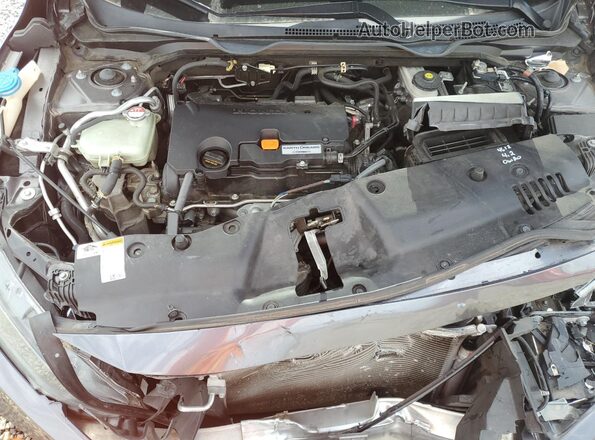 19XFC2F84KE009255 2019 HONDA CIVIC Gray Սալոնի հետևի տեսք