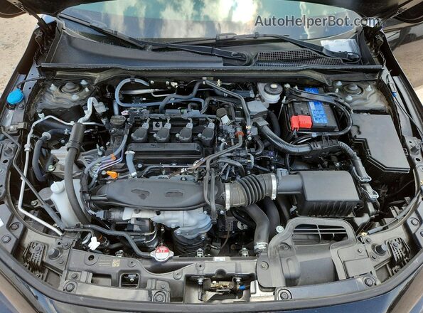 19XFL1H72PE014928 2023 HONDA CIVIC Black Սալոնի հետևի տեսք