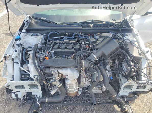 19XFL1H78RE030232 2024 HONDA CIVIC White Սալոնի հետևի տեսք
